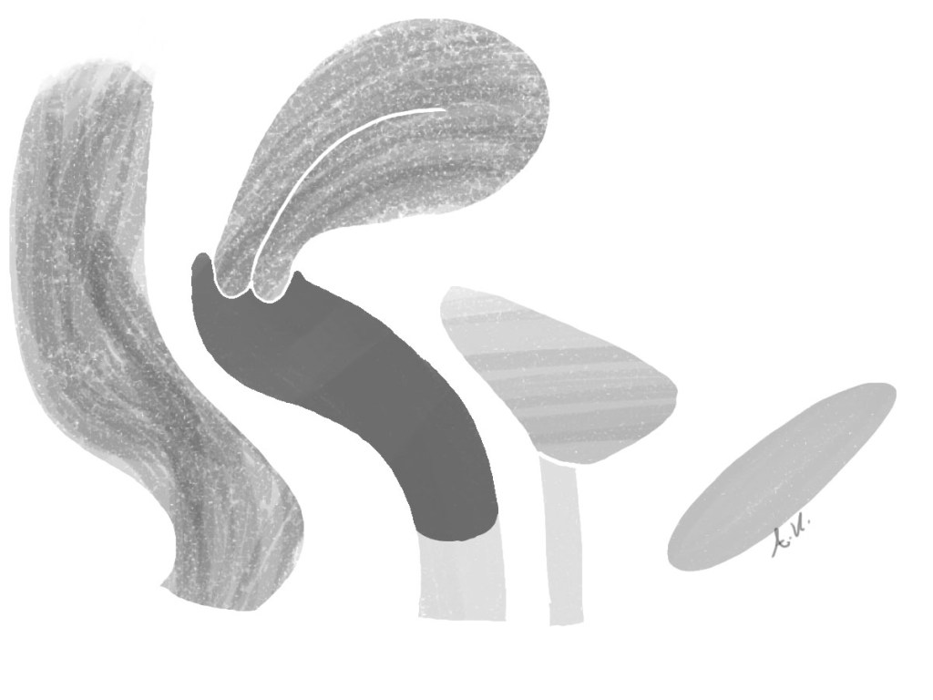 πρόπτωση πρώτου βαθμού